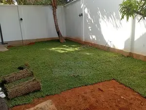Malasiyan Carpet Grass