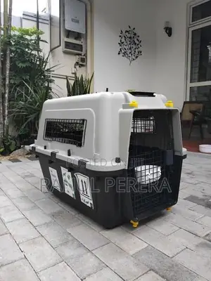 International Aviation Cat Carrier
