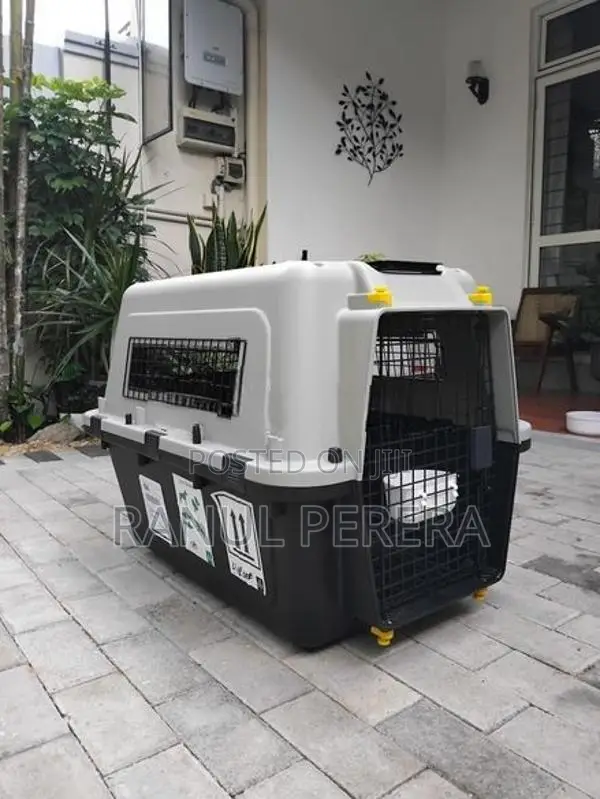 International Aviation Cat Carrier