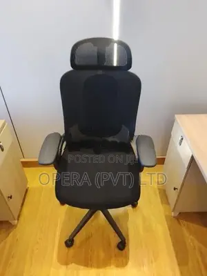 Executive Office Chair