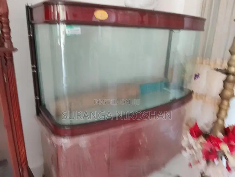 fish tank
