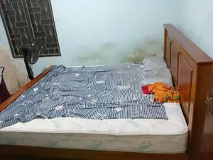 Bed 6*5