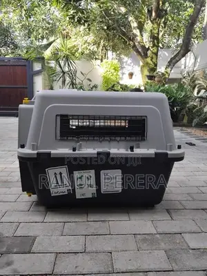 International Aviation Cat Carrier