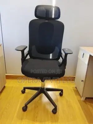 Executive Office Chair