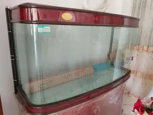 fish tank