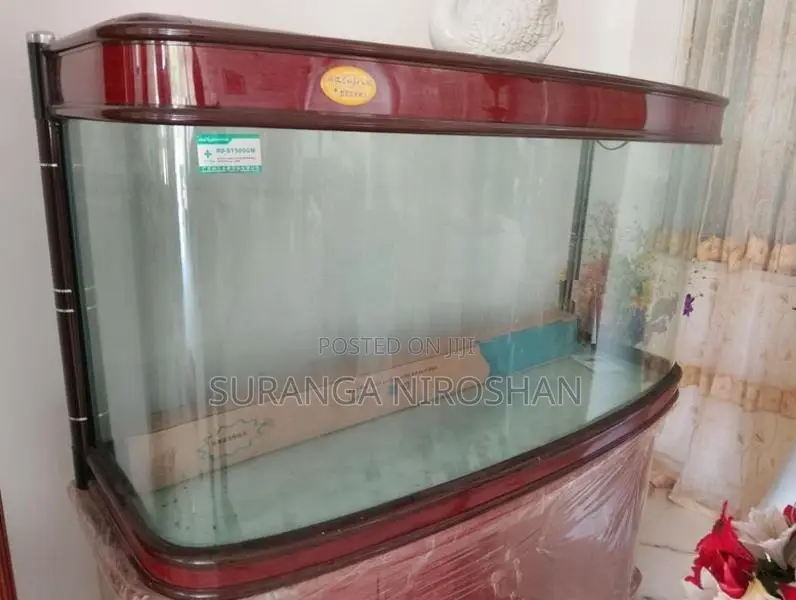 fish tank