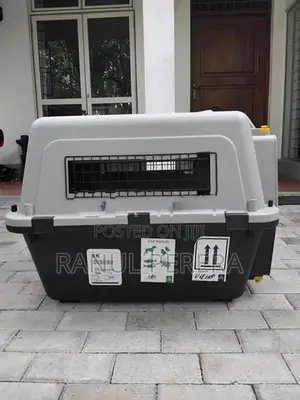 International Aviation Cat Carrier