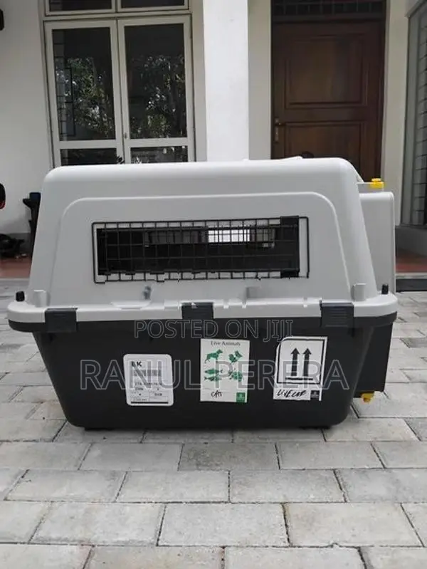 International Aviation Cat Carrier