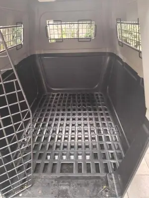 International Aviation Cat Carrier