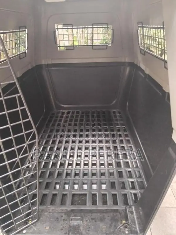 International Aviation Cat Carrier