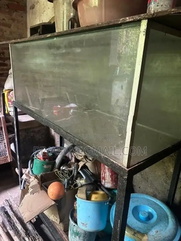 Fish Tank