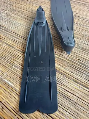 diving fins