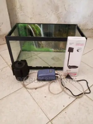 Fish Tank Full Set