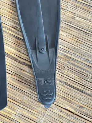 diving fins