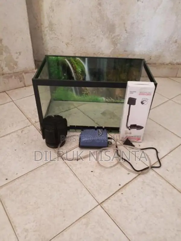 Fish Tank Full Set