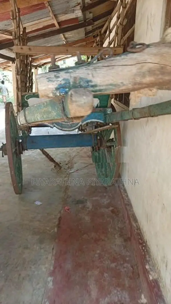 Bullock Cart