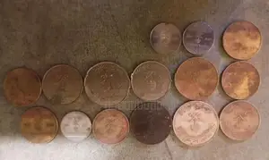 Old Coins Lot