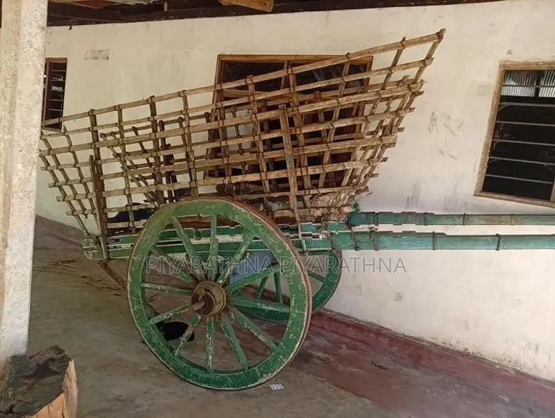 Bullock Cart
