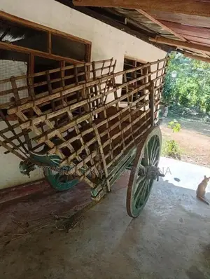 Bullock Cart