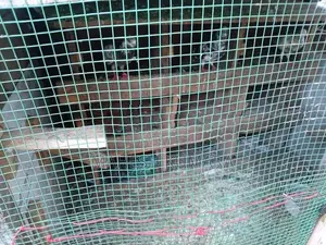 පරවි කුඩුව