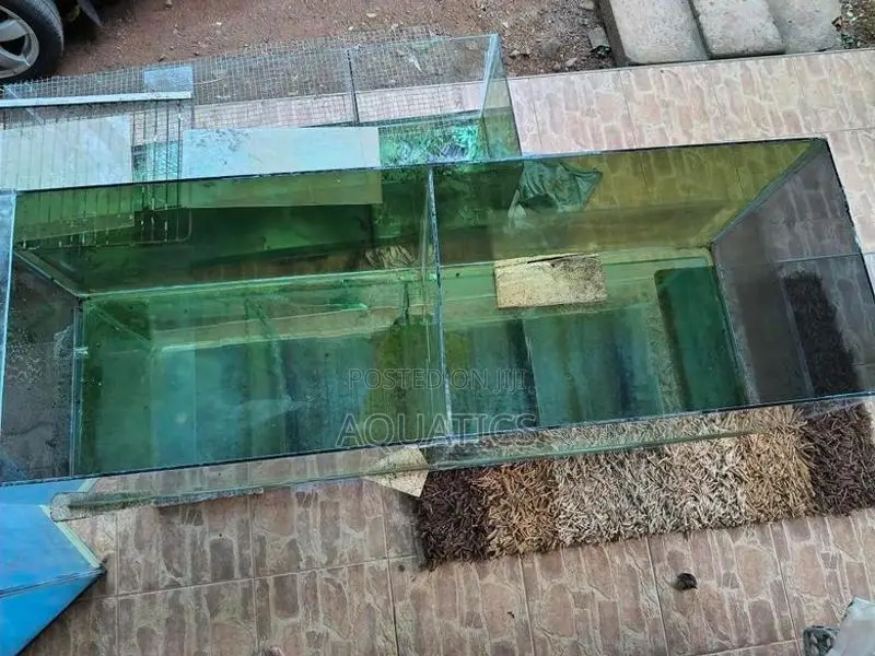4 feet Fish Tank
