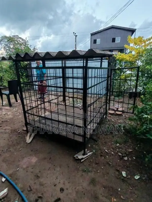 බලු කූඩුවක්