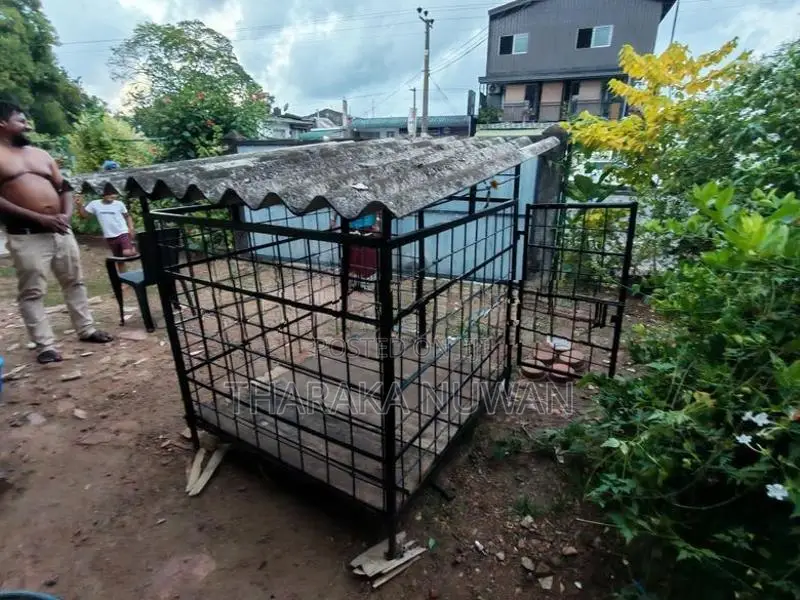 බලු කූඩුවක්