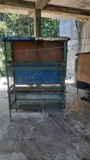 Bird Cage