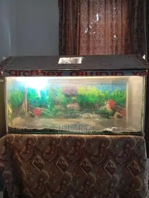 Fish Tank