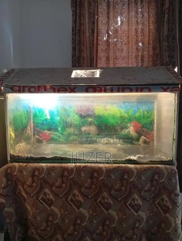 Fish Tank