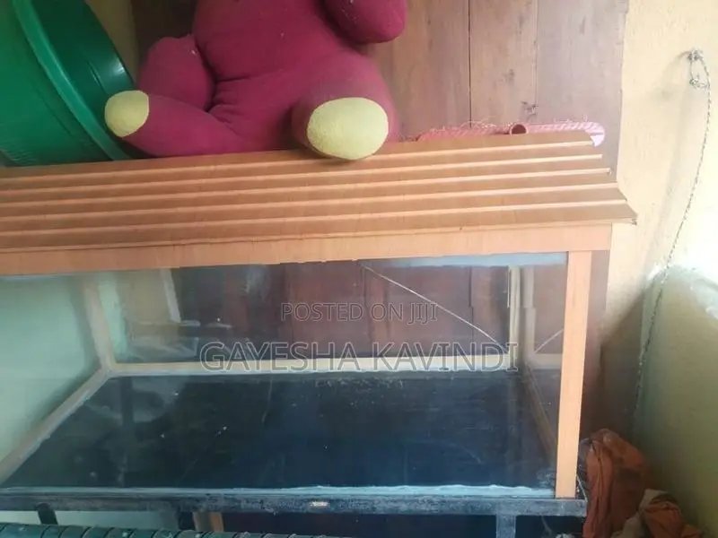 3 Feet Fish Tank