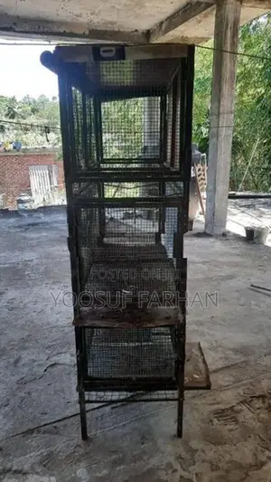 Bird Cage