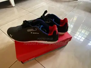 Puma BMW Shoes