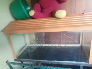 3 Feet Fish Tank
