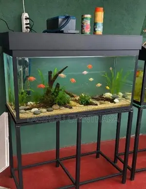 3 Feet Fish Tank With Stand