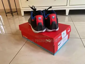 Puma BMW Shoes