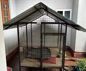 Dog Kennel