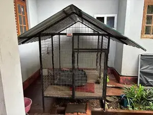 Dog Kennel