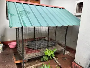 Dog Kennel