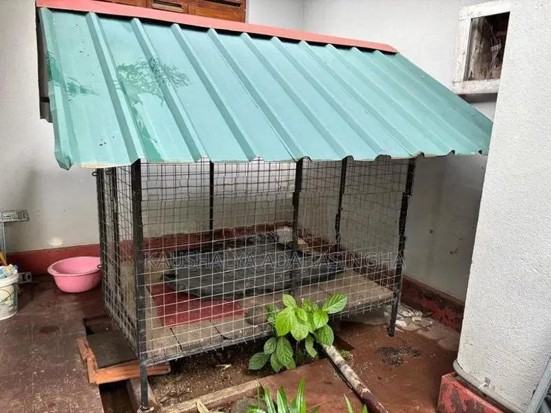 Dog Kennel