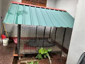 Dog Kennel