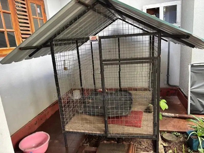Dog Kennel