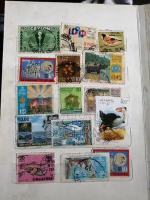 rare stamp collection