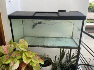 3ft Fish Tank