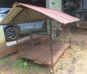 Dog Cage