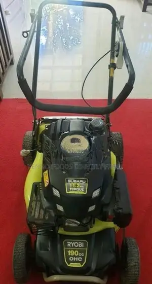 Riyobi EA190b lawnmower