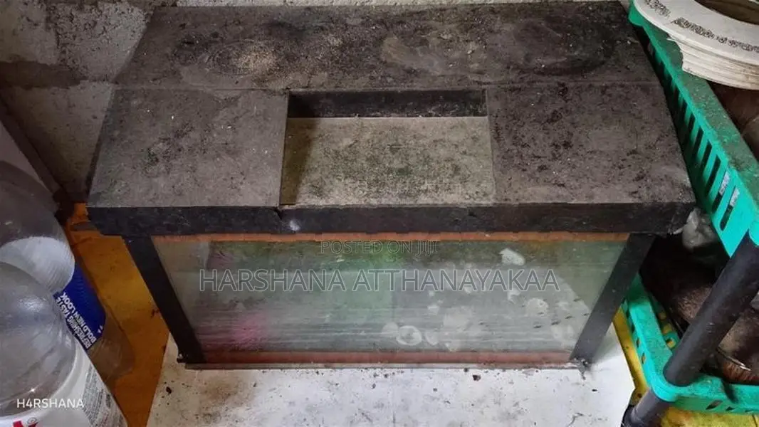 18-10 inch fish tank with roof
