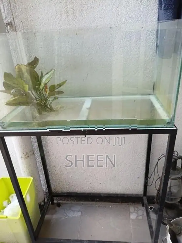 Fish Tank 2*1*1