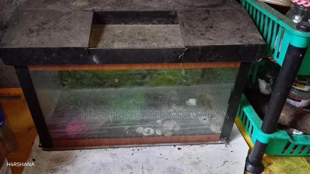 18-10 inch fish tank with roof