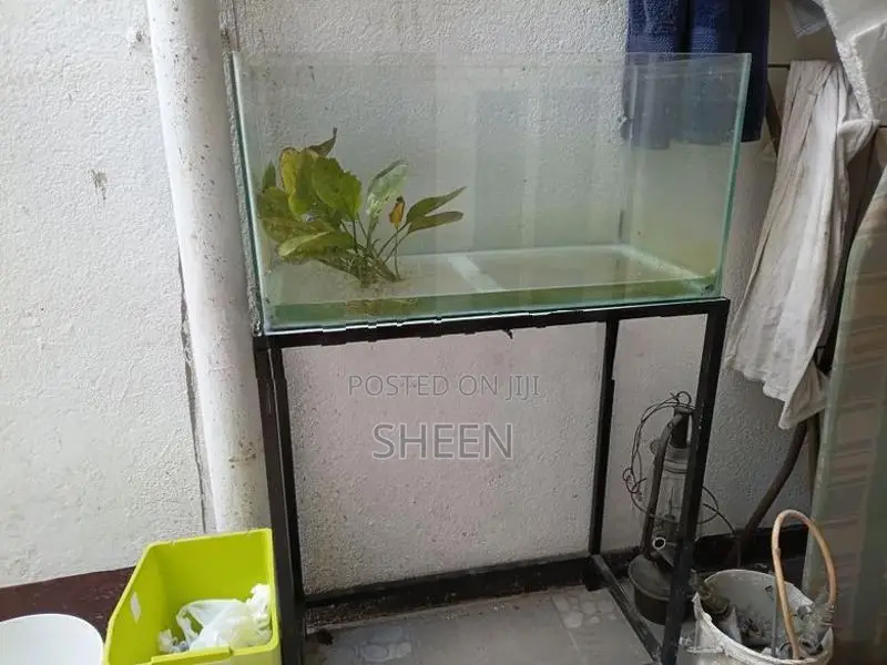 Fish Tank 2*1*1